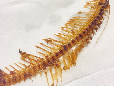 レンジでカリッカリ骨せんべい レシピ 作り方 By Marochan 楽天レシピ レンジでカリッカリ骨せんべい レシピ 作り方 By Marochan 楽天レシピ